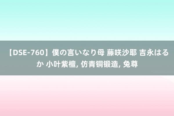 【DSE-760】僕の言いなり母 藤咲沙耶 吉永はるか 小叶紫檀， 仿青铜锻造， 兔尊