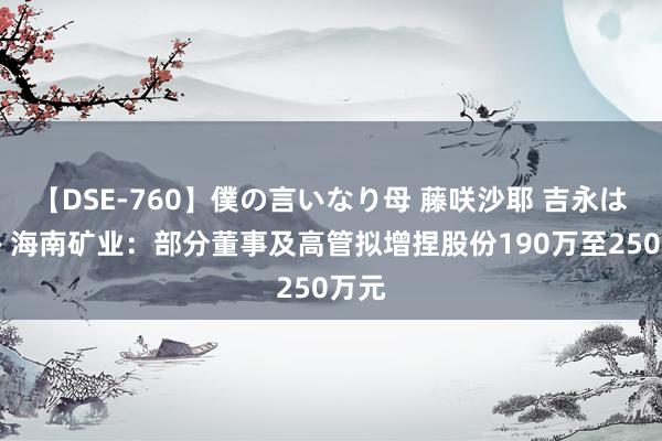 【DSE-760】僕の言いなり母 藤咲沙耶 吉永はるか 海南矿业：部分董事及高管拟增捏股份190万至250万元
