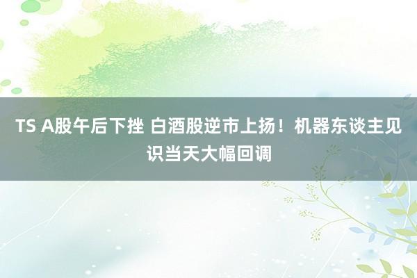 TS A股午后下挫 白酒股逆市上扬！机器东谈主见识当天大幅回调