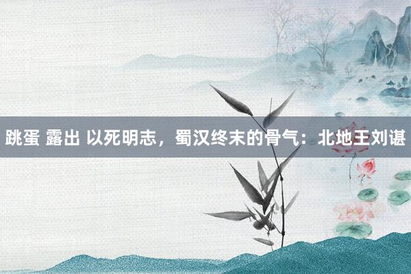 跳蛋 露出 以死明志，蜀汉终末的骨气：北地王刘谌