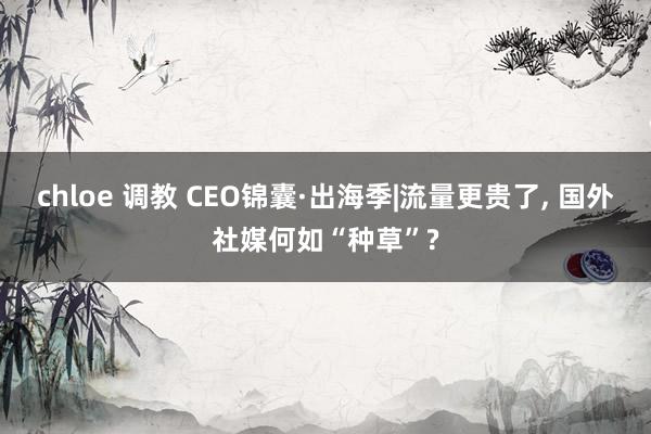 chloe 调教 CEO锦囊·出海季|流量更贵了， 国外社媒何如“种草”?