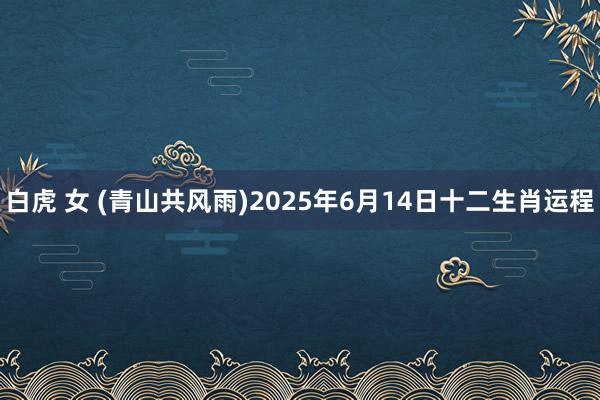 白虎 女 (青山共风雨)2025年6月14日十二生肖运程